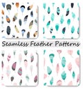 Vector seamless pattern with feathers. Collection,set prints,texture,wallpapers,backgrounds.