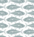 Vector seamless pattern with fishes, different species. Underwater life theme wallpaper, for use in graphic design. Royalty Free Stock Photo