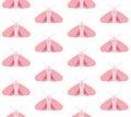 Vector seamless pattern of flat pink moth