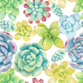 Vector seamless pattern of floral elements in a watercolor style. Succulents painted in watercolor Royalty Free Stock Photo