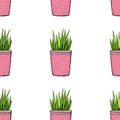 Vector seamless pattern of flower pots with decorative grass, plant. Cute texture in cartoon doodle flat style, isolated Royalty Free Stock Photo