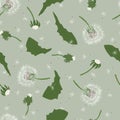 Vector Seamless Pattern With Flowers and Leaves Dandelion on Green Background. Royalty Free Stock Photo