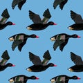Vector seamless pattern with flying black ducks Royalty Free Stock Photo