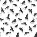 Vector seamless pattern with flying gray crows with a shadow on a white background. Mystical background with birds in Royalty Free Stock Photo