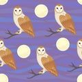 Vector seamless pattern with fool moon and owls.