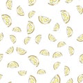 Vector seamless pattern with fresh citrus fruit slices on a white backgroud. Lifght backdrop. Royalty Free Stock Photo