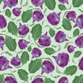 Vector seamless pattern with fresh healthy kohlrabi cabbage