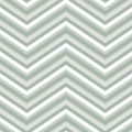 Vector seamless pattern. Geometric background with chevron