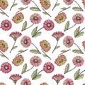 Vector seamless pattern gerbera Daisy. Background of bright, pink, orange, red flowers, realistic hand drawing. Botanical Royalty Free Stock Photo