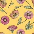 Vector seamless pattern gerbera Daisy. Background of bright, pink, orange, red flowers, realistic hand drawing. Botanical Royalty Free Stock Photo