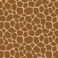 Vector seamless pattern with giraffe, skin. Endless modern background.