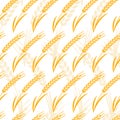 Vector seamless pattern with golden ripe ear of wheat. Royalty Free Stock Photo