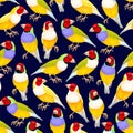 Vector seamless pattern with high detailed birds