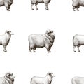 Vector seamless pattern with graphical sheep silhouettes, retro hand drawn illustration.