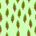 Vector seamless pattern with green deciduous trees. Brown trunk. Green background. Cartoon style. Spring and summer. Nature and Royalty Free Stock Photo