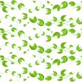 Vector seamless pattern with green ivy leaves on white background Royalty Free Stock Photo