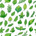 Seamless pattern Green leaf hand drawn texture isolated on white background. Eco surface design Royalty Free Stock Photo