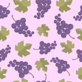 Vector seamless pattern with green leaves and bunches of grapes. For design packaging, textile, background, design postcards and Royalty Free Stock Photo