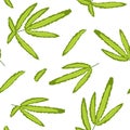 Vector seamless pattern of green leaves. Image of summer natural plants. Illustration for wallpaper and fabric