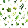 Vector seamless pattern with green leaves painted with watercolors on white background.