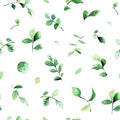 Vector seamless pattern with green leaves painted with watercolors on white background.