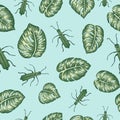 Vector seamless pattern of green monsterra leaves with tropic bugs on blue backgound