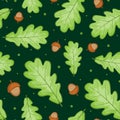 Vector seamless pattern with green oak leaves and acorns on dark green background. Royalty Free Stock Photo