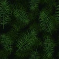 Vector seamless pattern of green palm leaves Royalty Free Stock Photo