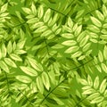 Seamless pattern with green rowan leaves. Vector illustration.