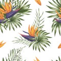 Vector seamless pattern of green tropical leaves with strelitzia flowers Royalty Free Stock Photo