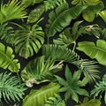 Vector seamless pattern with green tropical leaves Royalty Free Stock Photo