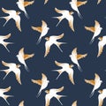 Vector seamless pattern with hand-draw birds. Pattern with swallows in classic blue white colors. Simple and elegant Royalty Free Stock Photo