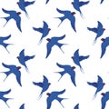 Vector seamless pattern with hand-draw birds. Pattern with swallows in classic blue red white colors. Simple and elegant Royalty Free Stock Photo