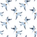 Vector seamless pattern with hand-draw birds. Pattern with swallows in classic blue white colors. Simple and elegant Royalty Free Stock Photo