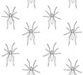 Vector seamless pattern of hand draw sketch spider