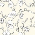 Vector seamless pattern with hand drawing orchid flowers