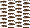 Vector seamless pattern of hand drawn anteater