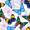 Vector seamless pattern, Hand drawn background with butterflies Royalty Free Stock Photo