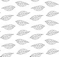 Vector seamless pattern of hand drawn bay leaf Royalty Free Stock Photo