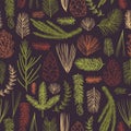 Vector pattern with branches and cones of coniferous trees. Royalty Free Stock Photo