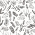 Vector pattern with branches and cones of coniferous trees. Royalty Free Stock Photo