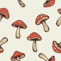 Vector Seamless Pattern with Hand Drawn Cartoon Mushrooms on a White Background. Amanita Muscaria, Fly Agaric Mushroom Royalty Free Stock Photo