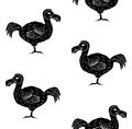 Vector seamless pattern of hand drawn dodo bird