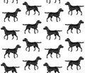 Vector seamless pattern of black beagle dog