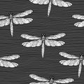 Vector seamless pattern with hand drawn dragonflies and endless horizontal lines