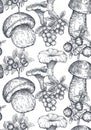 Vector seamless pattern with hand drawn forest mushrooms Royalty Free Stock Photo