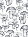 Vector seamless pattern with hand drawn forest mushrooms. Royalty Free Stock Photo
