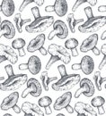 Vector seamless pattern with hand drawn forest mushrooms. Royalty Free Stock Photo