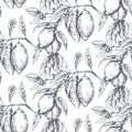 Vector seamless pattern with hand drawn fresh lemon tree branches, fruits and flowers in sketch style. Royalty Free Stock Photo