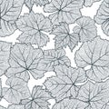 Vector seamless pattern with hand drawn grape textured leaves. Black and white autumn nature background.